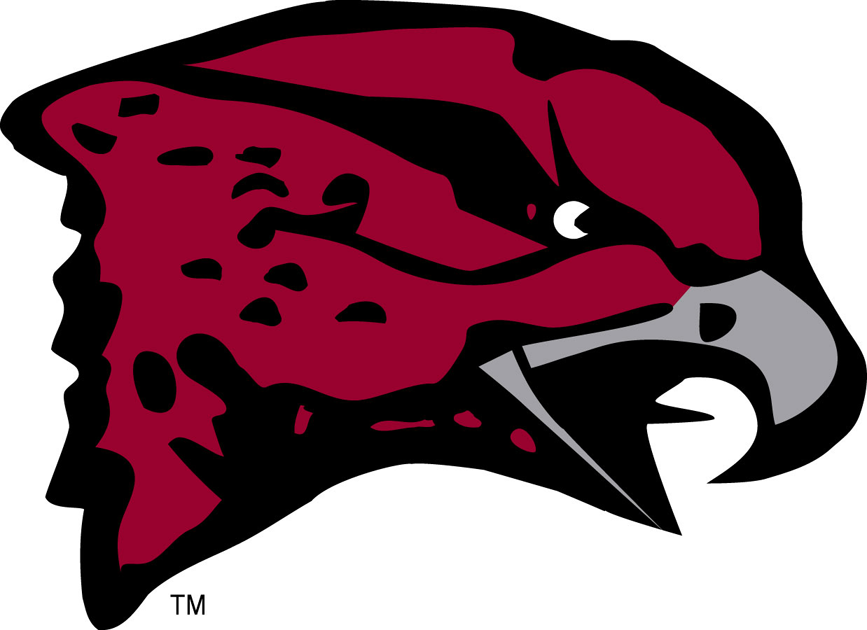 Maryland-Eastern Shore Hawks 2007-Pres Primary Logo iron on paper